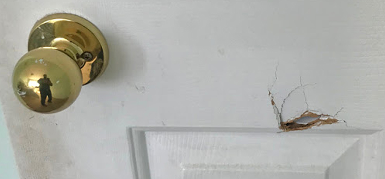 interior door hole repair South San Jose Hills
